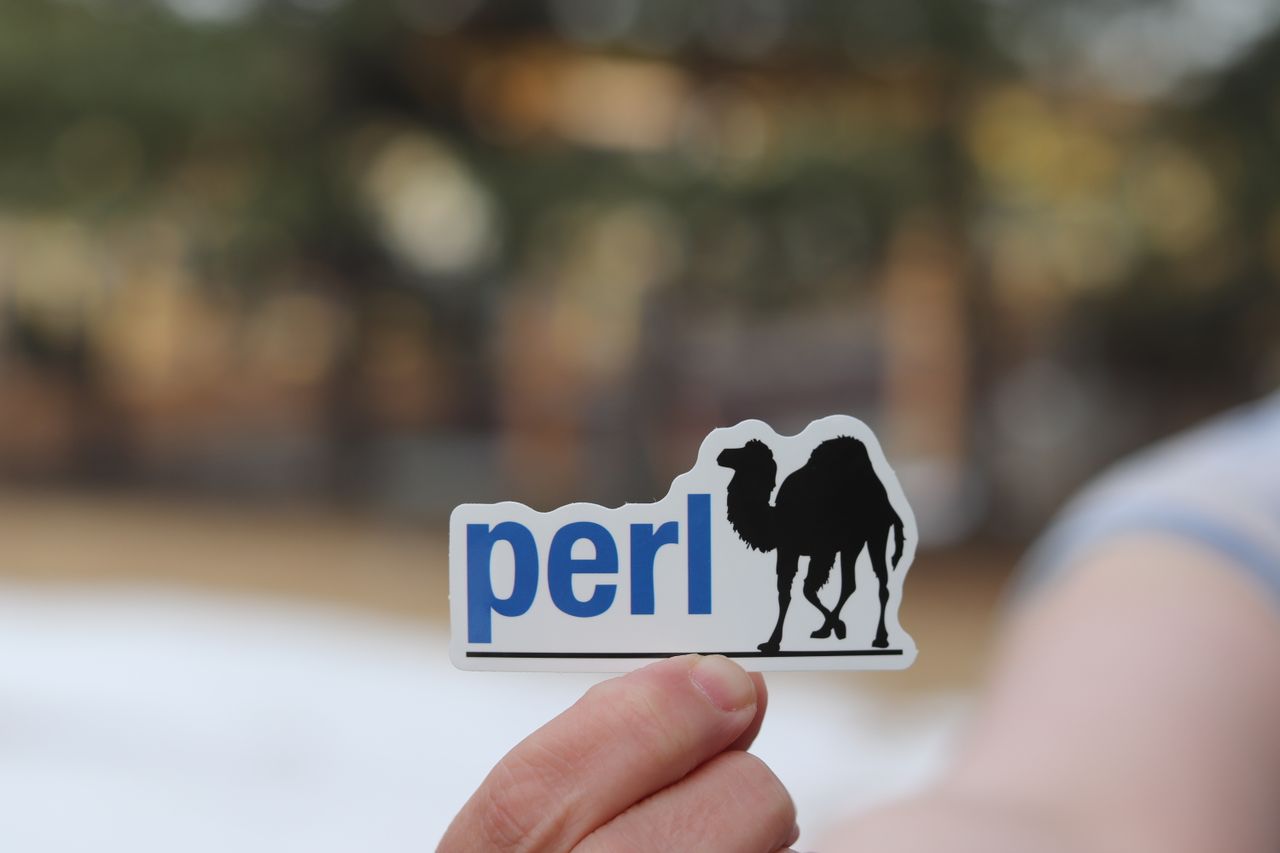 The Art of Drawing Readers In: Your attractive post title goes here Close-up of a hand holding a Perl camel logo sticker in a natural outdoor setting.